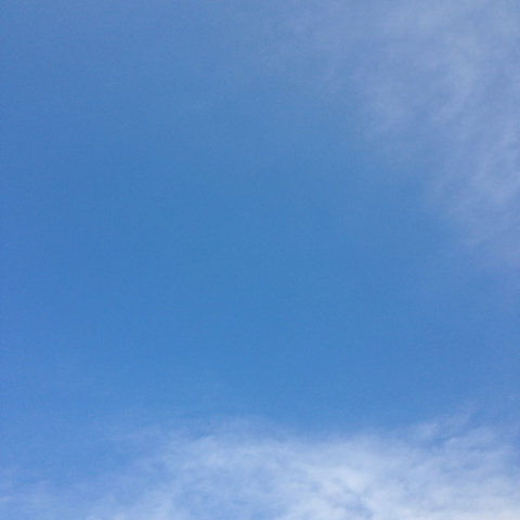 大切なひと_d0233891_13191163.jpg