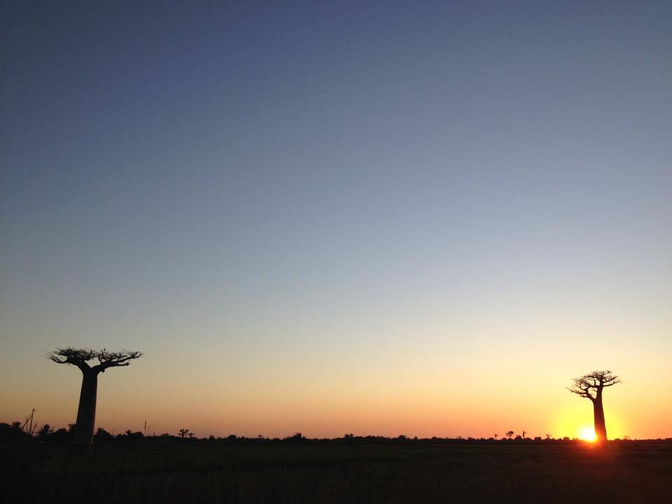 e0111396_1243753.jpg