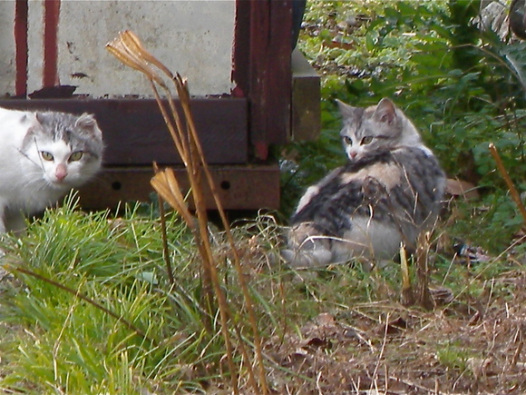 a0199297_16472728.jpg