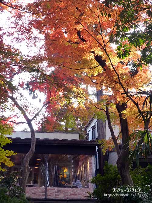 晩秋の井の頭公園-前編_d0128697_5151417.jpg