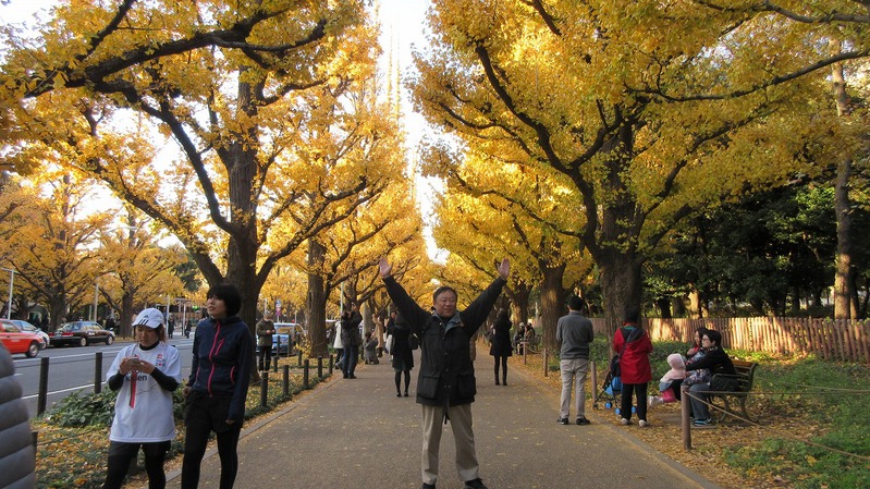 イチョウ並木Ｗａｌｋｉｎｇ/明治神宮外苑紅葉_b0163804_11114486.jpg