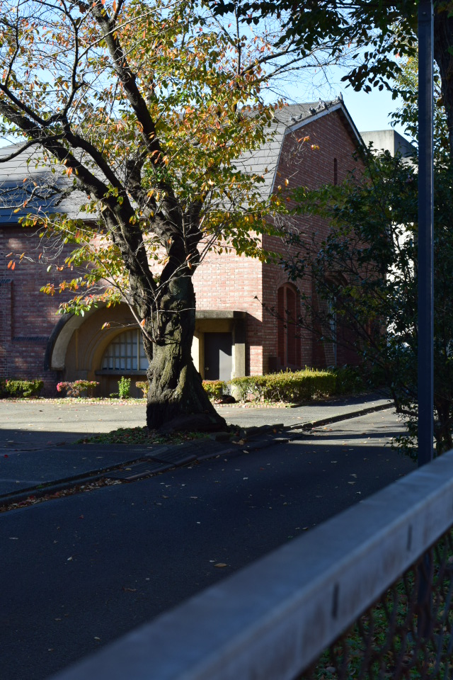 東京・旧中野刑務所正門(大正モダン建築再訪)_f0142606_22421190.jpg