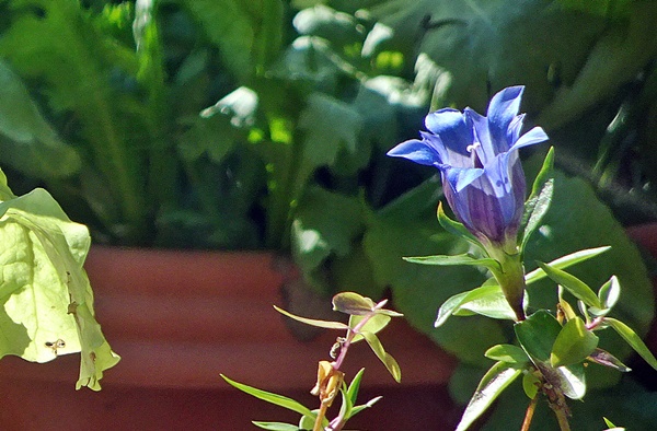 d0025414_21165346.jpg