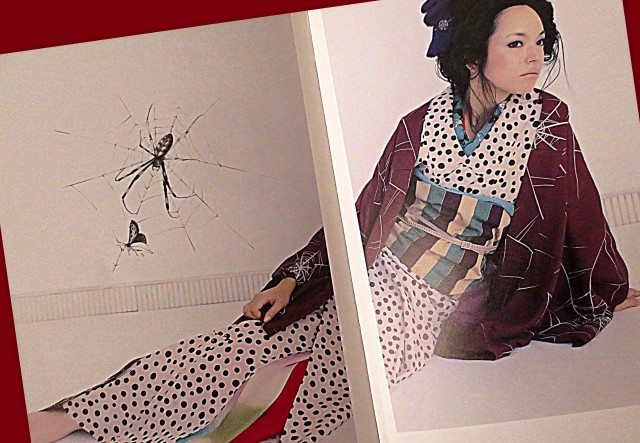 「蜘蛛の巣」模様と、芸者さん!_f0205317_1155162.jpg