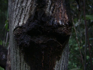 c0346119_21322546.jpg