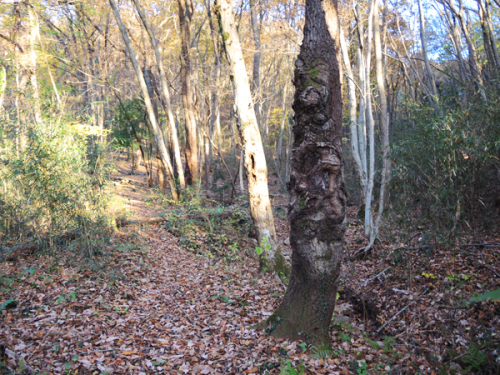 c0346119_21322589.jpg