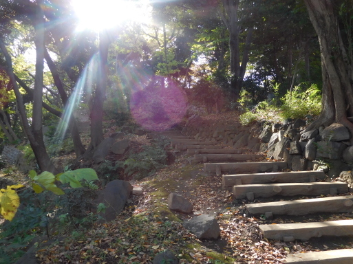 東京　芝　増上寺 (宝物展示室、徳川家墓所ほか)_e0345320_22233023.jpg