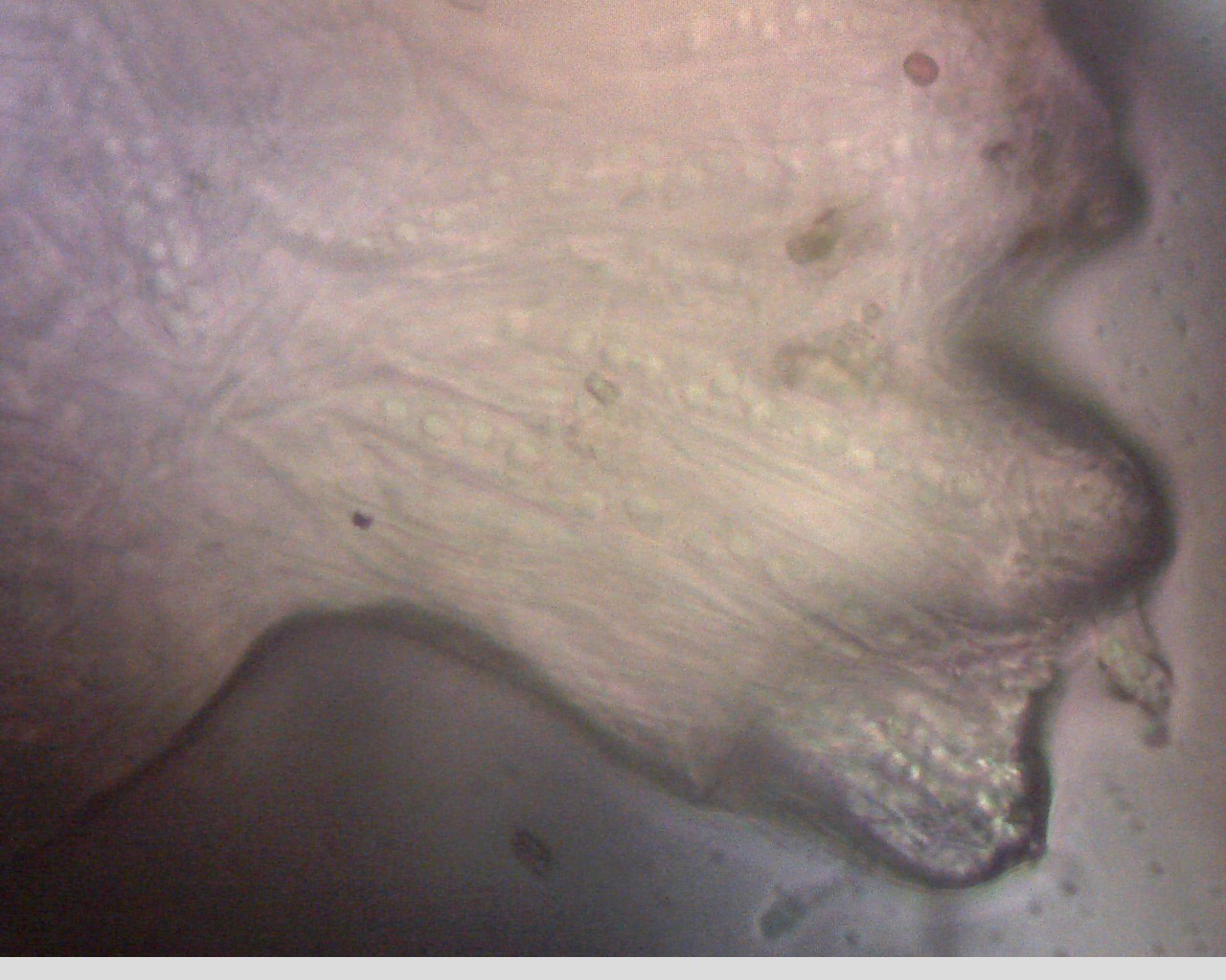 e0352220_00262114.jpg