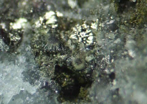 d0045626_21543498.jpg