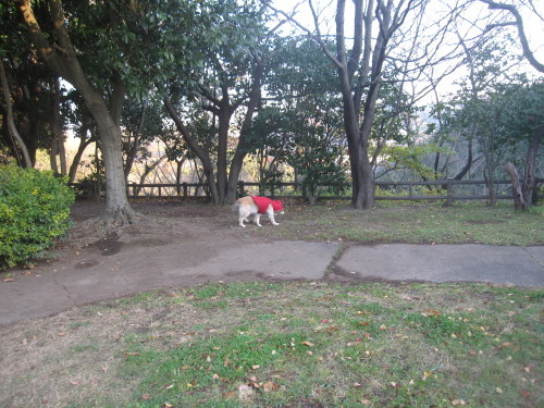 e0350927_08524871.jpg