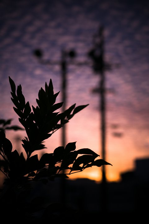 b0134829_17334687.jpg