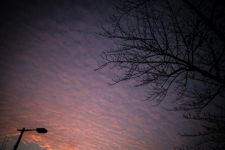 b0134829_17335880.jpg