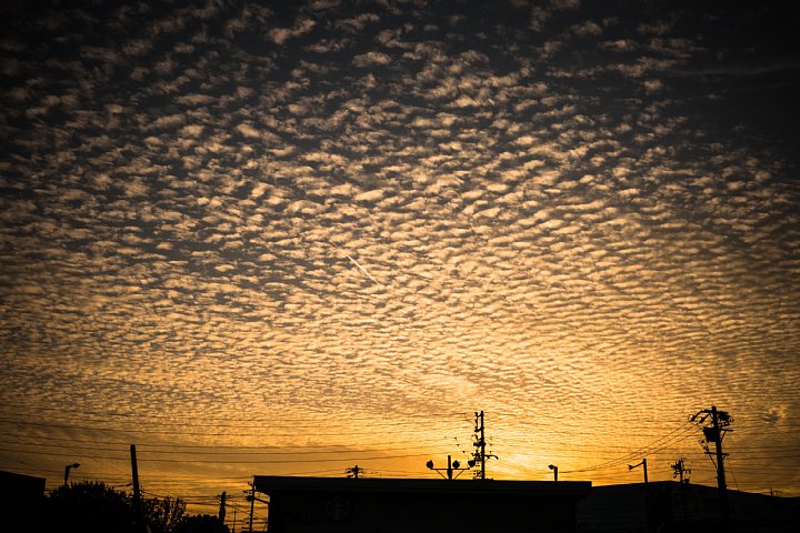 b0134829_20592629.jpg