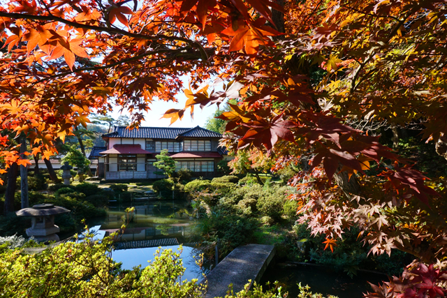 紅葉～住雲園②_a0330642_2221149.jpg