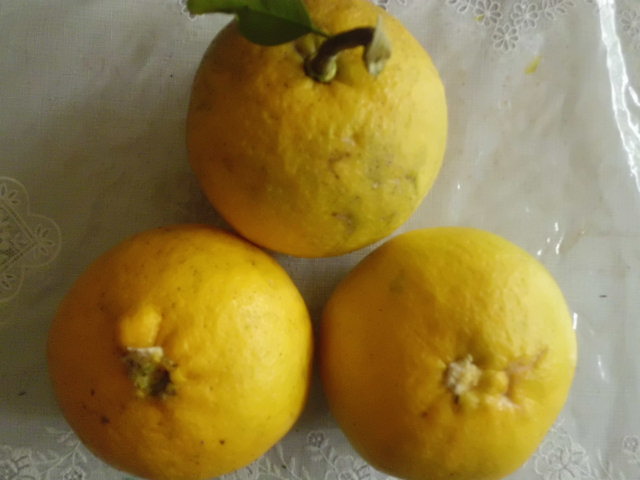 f0031546_212202.jpg