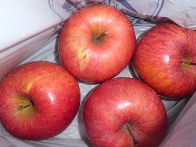 f0031546_2128496.jpg