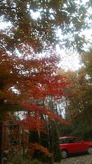 2015秋_b0105458_11302840.jpg