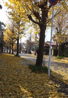 f0337058_11112990.jpg