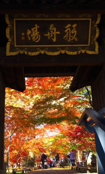 浄真寺の紅葉　　2015-12-9_d0264759_1172081.jpg