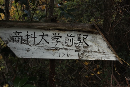 a0208560_19543051.jpg