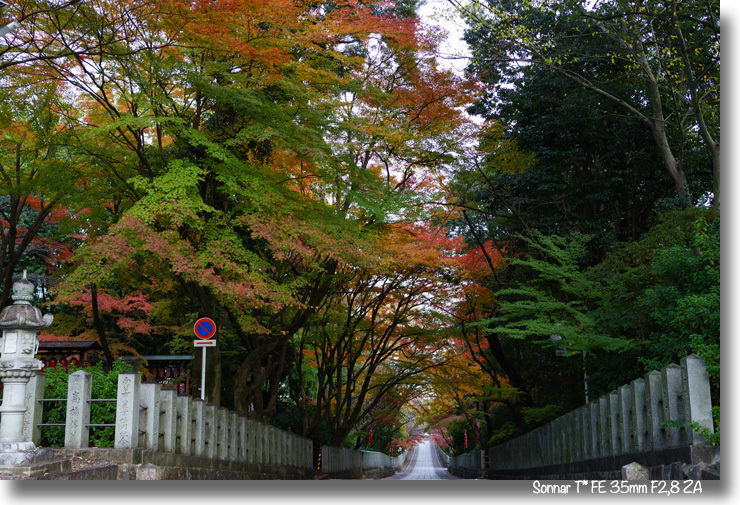 西国街道　向日神社_e0245466_09131866.jpg