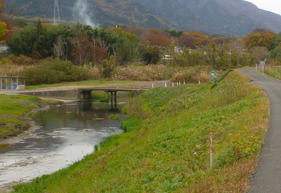 岐阜サイクリング２　～木曽三川と背割堤～_c0087773_20291645.jpg