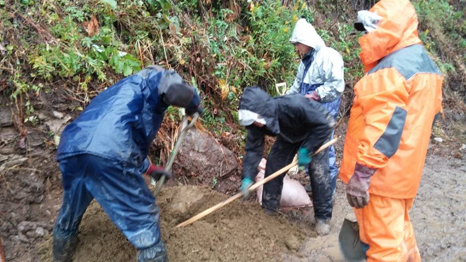 宮城県石巻市 被災地を再びサクラ色に_d0259876_19263463.jpg