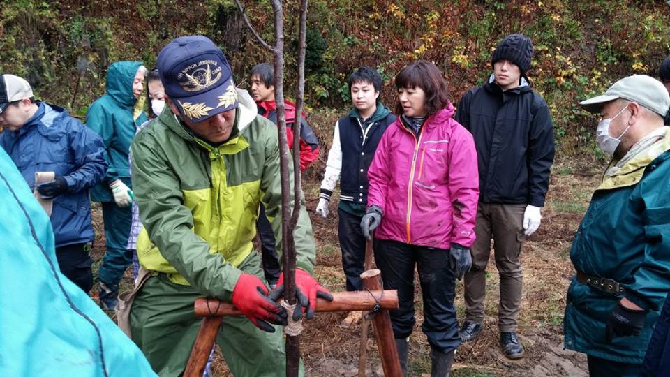 宮城県石巻市 被災地を再びサクラ色に_d0259876_19285963.jpg