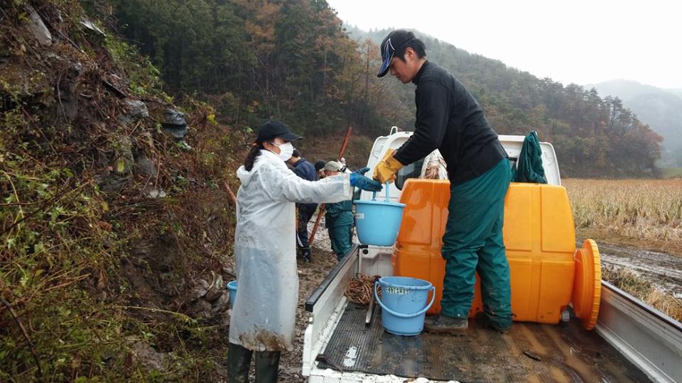宮城県石巻市 被災地を再びサクラ色に_d0259876_19303356.jpg