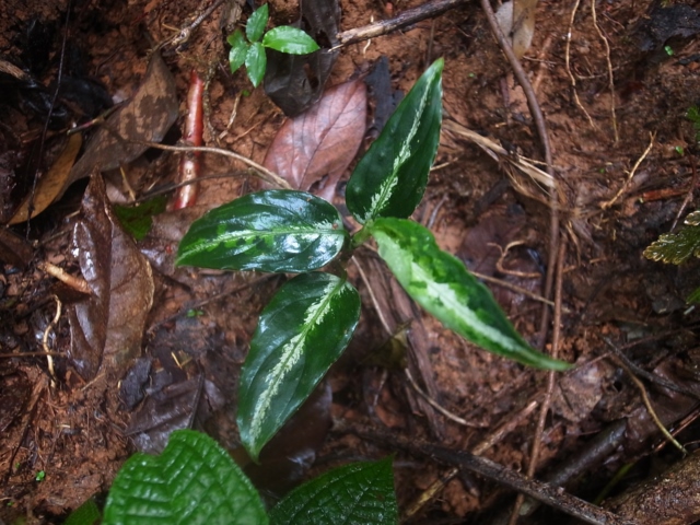 a0067578_027245.jpg