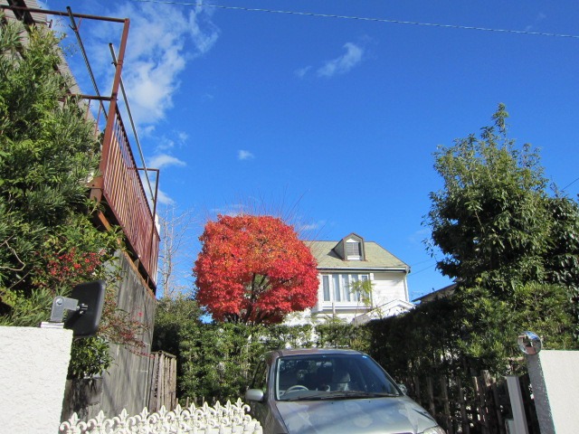 f0138278_20195483.jpg