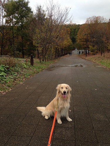 はじめての公園_c0172184_18134956.jpg