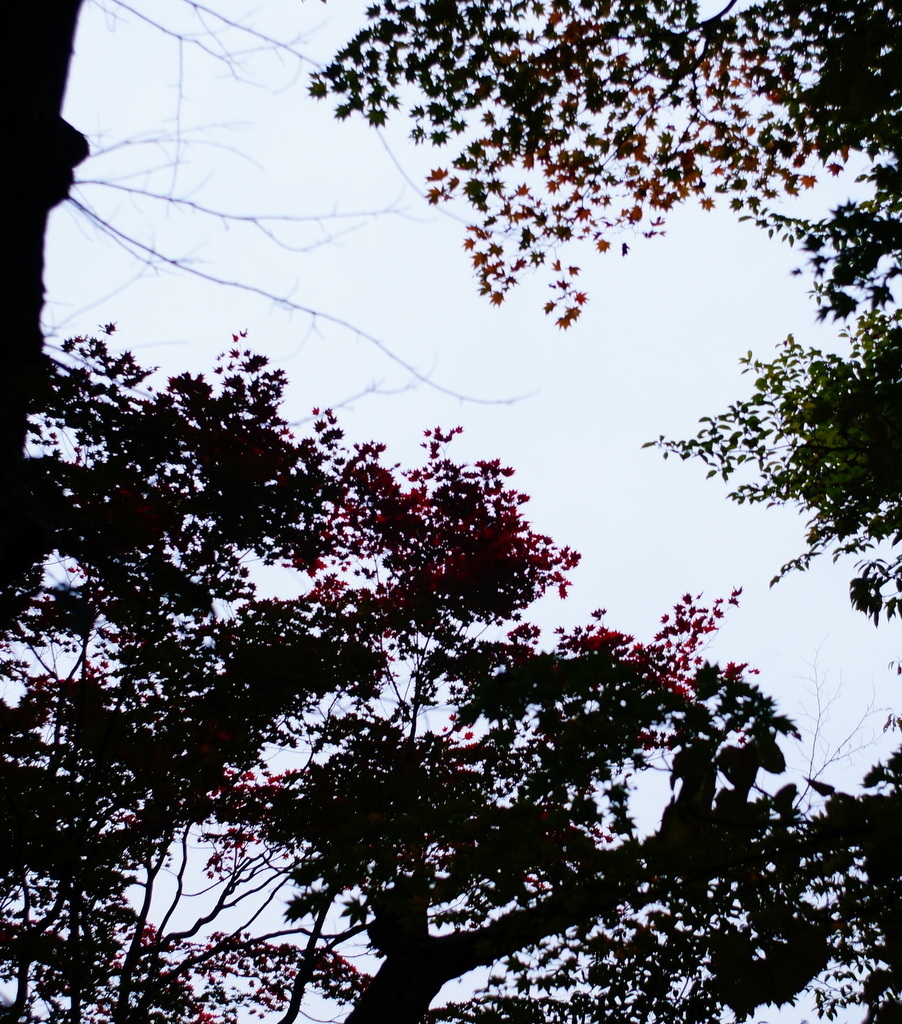 c0180686_09294524.jpg