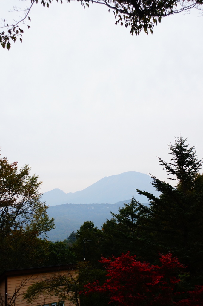 c0180686_09295811.jpg