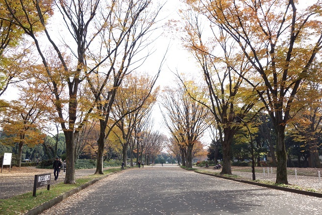 大山街道（２）三軒茶屋～二子玉川04　桜新町R_d0183387_20033923.jpg