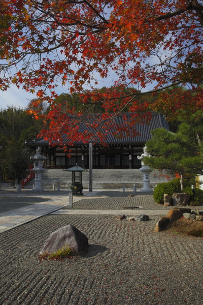 妙満寺_e0051888_3324719.jpg