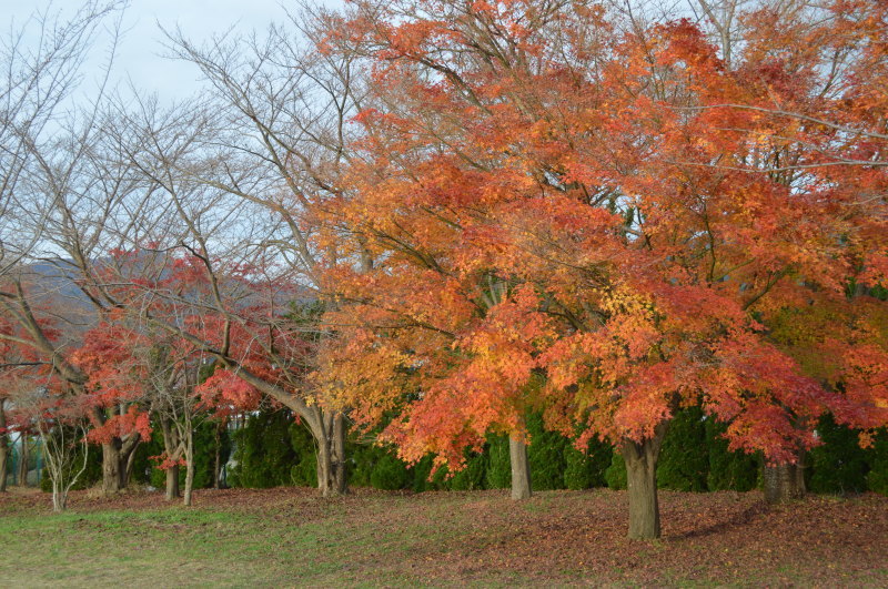 c0357191_00122519.jpg