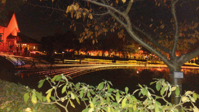f0255500_2058717.gif