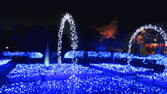 f0255500_20594290.gif
