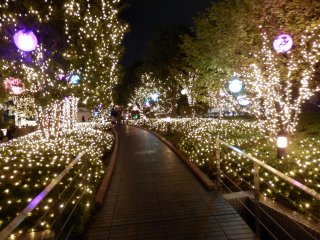 e0137202_12205636.jpg