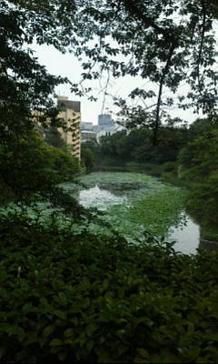 b0237103_01165335.jpg