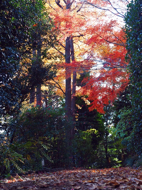 c0187503_1733349.jpg