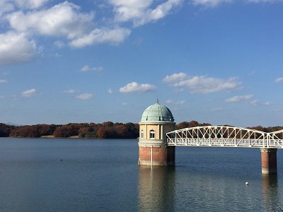 a0134004_220995.jpg