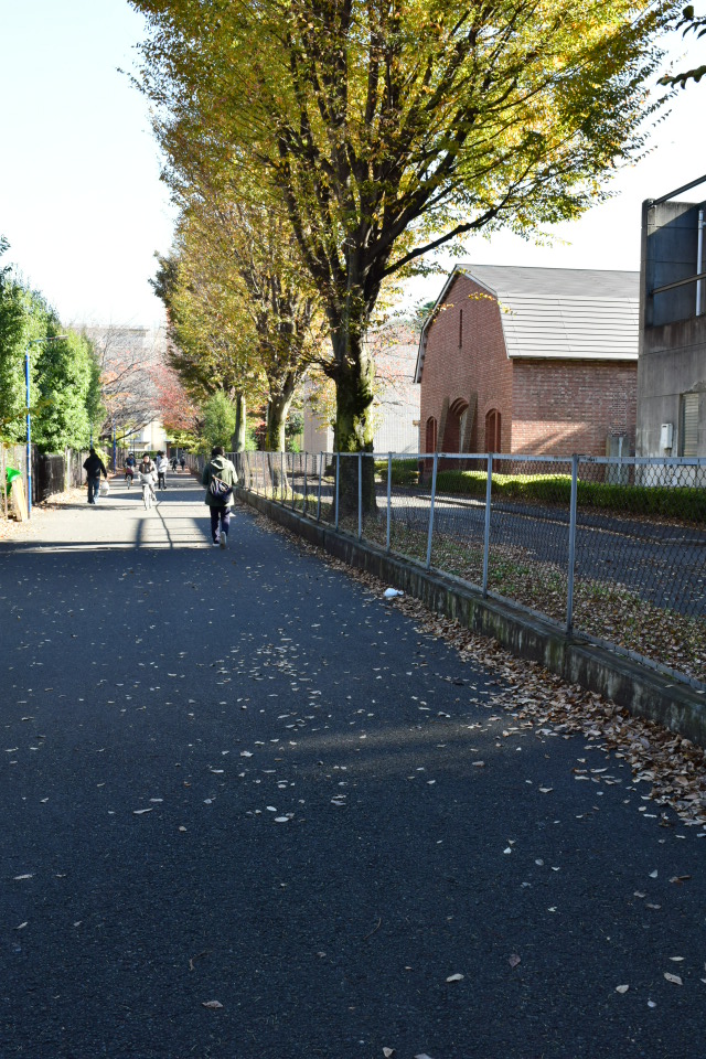 東京・旧中野刑務所正門(大正モダン建築再訪)_f0142606_0373985.jpg