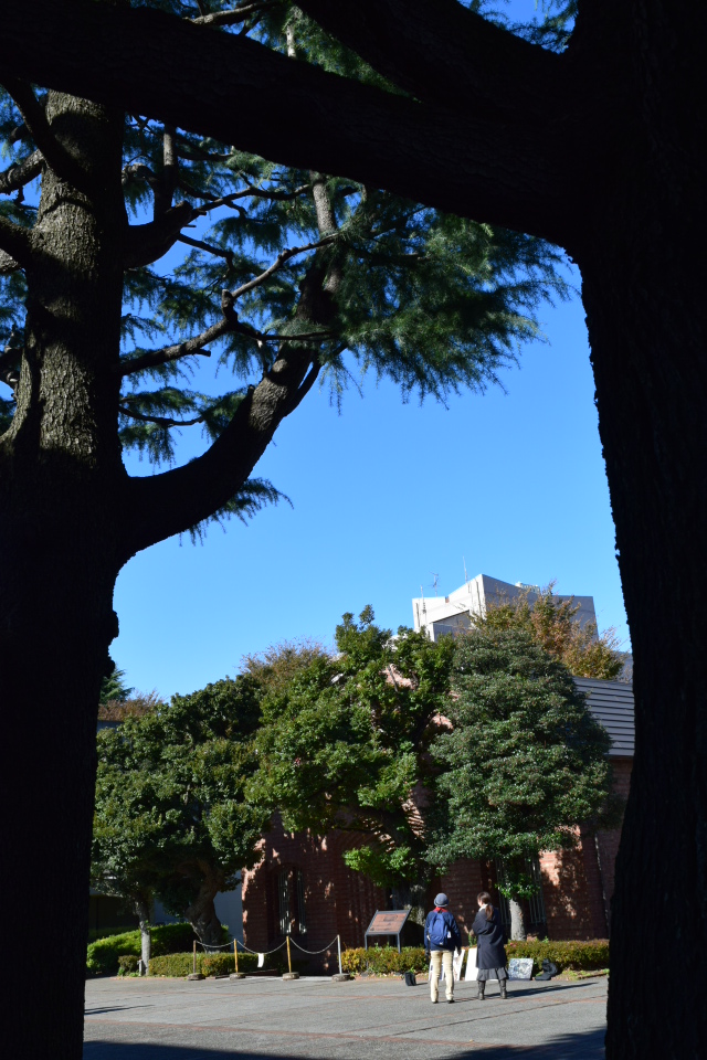 東京・旧中野刑務所正門(大正モダン建築再訪)_f0142606_83728.jpg