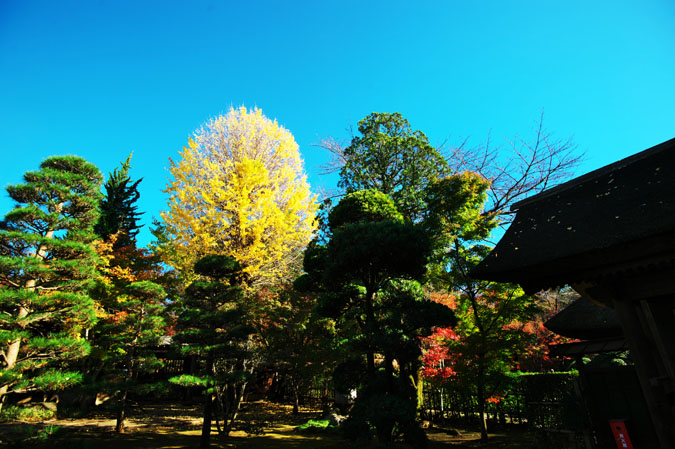a0263109_14513210.jpg