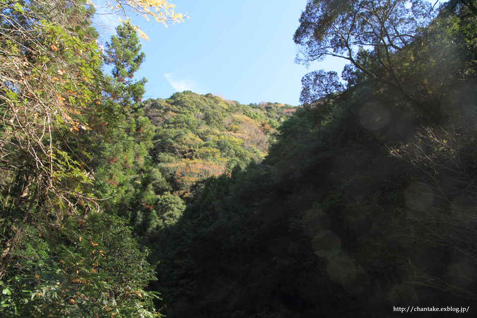 c0189013_21533685.jpg