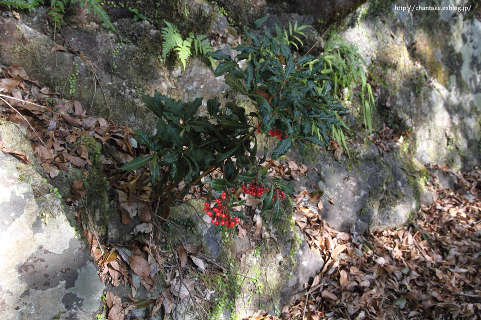 c0189013_23212533.jpg