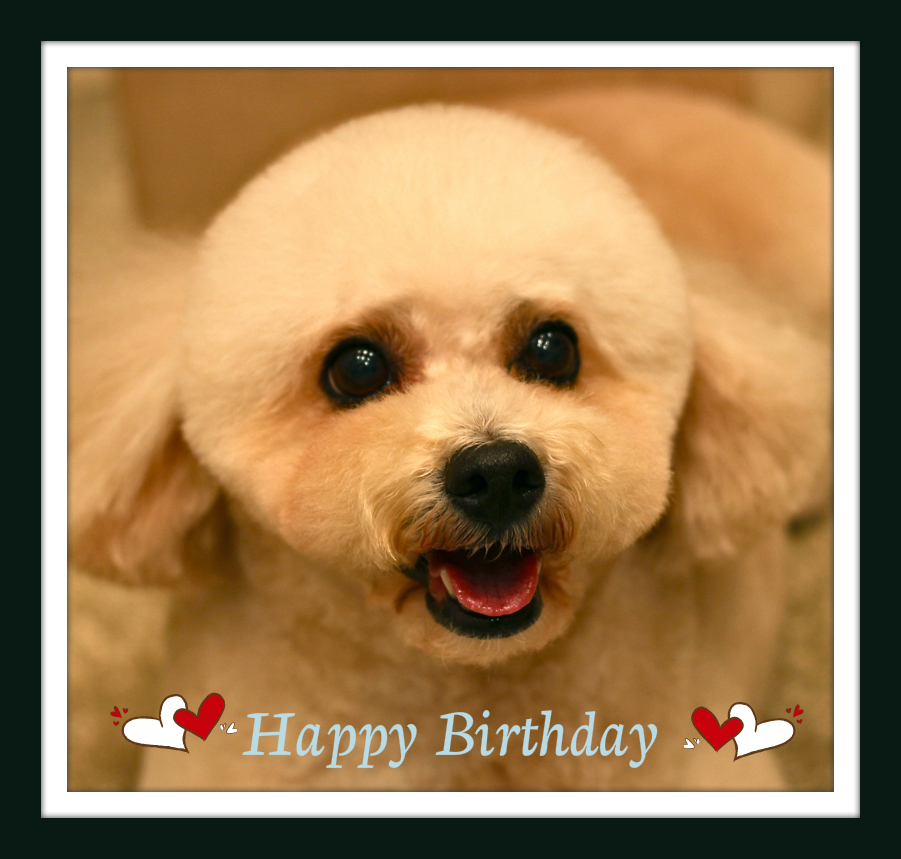 Happy Birthday♡ひなたくん_d0060413_19263884.jpg