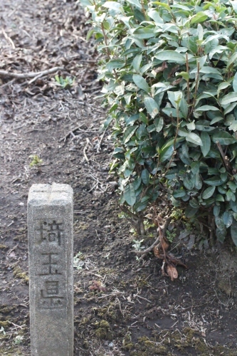 入間市へ_b0220318_23292276.jpg